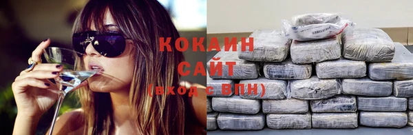 скорость Каменногорск