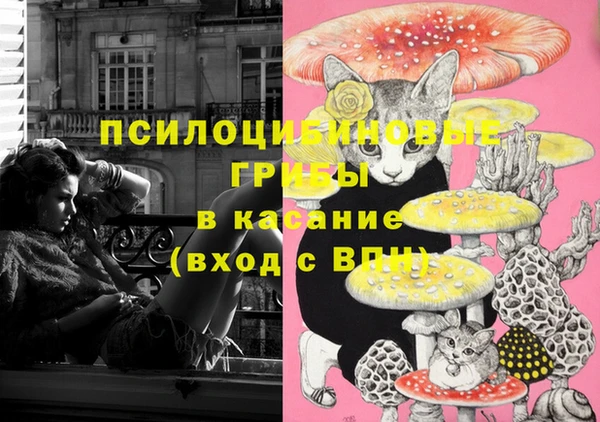 MDMA Каменка