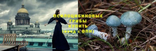 скорость Каменногорск
